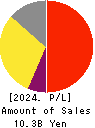 AlphaPolis Co.,Ltd. Profit and Loss Account 2024年3月期