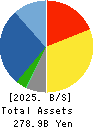 INABADENKI SANGYO CO.,LTD. Balance Sheet 2025年Mar期 INABADENKI SANGYO CO.,LTD. Balance Sheet 2025年3月期