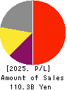 Dexerials Corporation Profit and Loss Account 2025年3月期