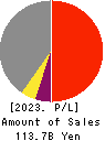 SHINNIHON CORPORATION Profit and Loss Account 2023年3月期