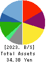 SRS HOLDINGS CO.,LTD. Balance Sheet 2023年Mar期 SRS HOLDINGS CO.,LTD. Balance Sheet 2023年3月期