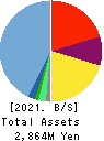 i-plug,Inc. Balance Sheet 2021年Mar期 i-plug,Inc. Balance Sheet 2021年3月期