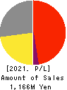 True Data Inc. Profit and Loss Account 2021年3月期