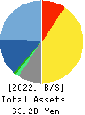 NSD CO., LTD. Balance Sheet 2022年3月期