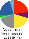 Virtualex Holdings,Inc. Balance Sheet 2022年3月期