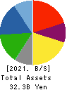 Nippon Pigment Holdings Company Limited Balance Sheet 2021年Mar期 Nippon Pigment Holdings Company Limited Balance Sheet 2021年3月期