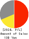 NAIGAI CO.,LTD. Profit and Loss Account 2024年1月期