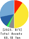 NSD CO., LTD. Balance Sheet 2023年3月期