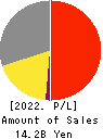 SAKAI Holdings CO.,LTD Profit and Loss Account 2022年9月期