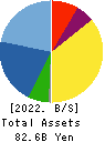 FJ NEXT HOLDINGS CO., LTD. Balance Sheet 2022年Mar期 FJ NEXT HOLDINGS CO., LTD. Balance Sheet 2022年3月期