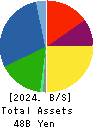 ASTI CORPORATION Balance Sheet 2024年3月期