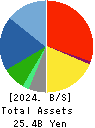 LUCKLAND CO.,LTD. Balance Sheet 2024年Dec期 LUCKLAND CO.,LTD. Balance Sheet 2024年12月期