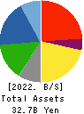 Nippon Pigment Holdings Company Limited Balance Sheet 2022年Mar期 Nippon Pigment Holdings Company Limited Balance Sheet 2022年3月期