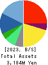 internet infinity INC. Balance Sheet 2023年3月期