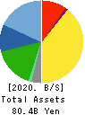 MURAKAMI CORPORATION Balance Sheet 2020年3月期
