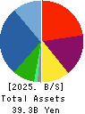 AMBITION DX HOLDINGS Co., Ltd. Balance Sheet 2025年Jun期 AMBITION DX HOLDINGS Co., Ltd. Balance Sheet 2025年6月期