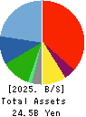 Star Flyer Inc. Balance Sheet 2025年Mar期 Star Flyer Inc. Balance Sheet 2025年3月期