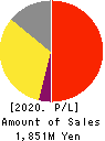 Writeup Co.,Ltd. Profit and Loss Account 2020年Mar期 Writeup Co.,Ltd. Profit and Loss Account 2020年3月期