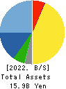 Helios Techno Holding Co.,Ltd. Balance Sheet 2022年3月期