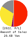 RAKUS Co.,Ltd. Profit and Loss Account 2022年3月期