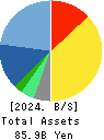 DTS CORPORATION Balance Sheet 2024年3月期