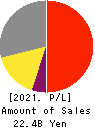 Saison Technology Co.,Ltd. Profit and Loss Account 2021年3月期