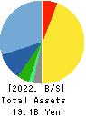 WEATHERNEWS INC. Balance Sheet 2022年5月期