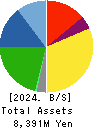 TOKAI SOFT CO.,LTD. Balance Sheet 2024年May期 TOKAI SOFT CO.,LTD. Balance Sheet 2024年5月期