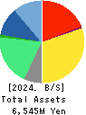 Advantage Risk Management Co.,Ltd. Balance Sheet 2024年3月期