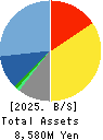 EXTREME CO.,LTD. Balance Sheet 2025年Mar期 EXTREME CO.,LTD. Balance Sheet 2025年3月期