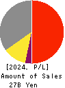 OKADA AIYON CORPORATION Profit and Loss Account 2024年Mar期 OKADA AIYON CORPORATION Profit and Loss Account 2024年3月期