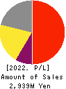 Commerce One Holdings Inc. Profit and Loss Account 2022年3月期