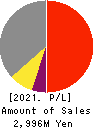 GSI Co., Ltd. Profit and Loss Account 2021年3月期