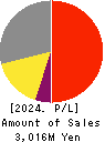Digital Media Professionals Inc. Profit and Loss Account 2024年Mar期 Digital Media Professionals Inc. Profit and Loss Account 2024年3月期