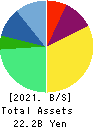 Shinwa Co.,Ltd. Balance Sheet 2021年Mar期 Shinwa Co.,Ltd. Balance Sheet 2021年3月期