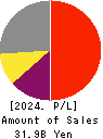 ANYCOLOR Inc. Profit and Loss Account 2024年Apr期 ANYCOLOR Inc. Profit and Loss Account 2024年4月期