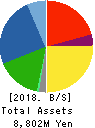 Ray Corporation Balance Sheet 2018年Feb期 Ray Corporation Balance Sheet 2018年2月期