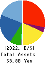 SHIBAURA MECHATRONICS CORPORATION Balance Sheet 2022年3月期
