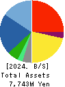 PHYZ Holdings Inc. Balance Sheet 2024年Mar期 PHYZ Holdings Inc. Balance Sheet 2024年3月期
