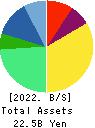 Shinwa Co.,Ltd. Balance Sheet 2022年Mar期 Shinwa Co.,Ltd. Balance Sheet 2022年3月期