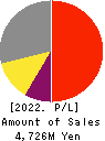 Ubicom Holdings, Inc. Profit and Loss Account 2022年3月期