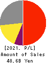 Future Corporation Profit and Loss Account 2021年12月期