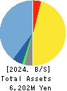 ZAPPALLAS,INC. Balance Sheet 2024年4月期