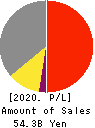 V Technology Co.,Ltd. Profit and Loss Account 2020年3月期