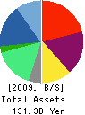 ITX Corporation Balance Sheet 2009年3月期
