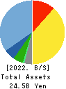Fukui Computer Holdings,Inc. Balance Sheet 2022年3月期