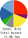 NCD Co., Ltd. Balance Sheet 2022年Mar期 NCD Co., Ltd. Balance Sheet 2022年3月期