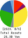 HANDSMAN CO.,LTD. Balance Sheet 2023年Jun期 HANDSMAN CO.,LTD. Balance Sheet 2023年6月期