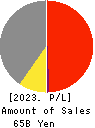 DKS Co. Ltd. Profit and Loss Account 2023年3月期