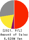 Excite Holdings Co.,Ltd. Profit and Loss Account 2021年Mar期 Excite Holdings Co.,Ltd. Profit and Loss Account 2021年3月期